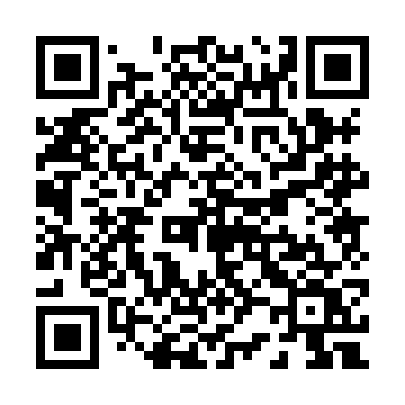 QR code for P208GV