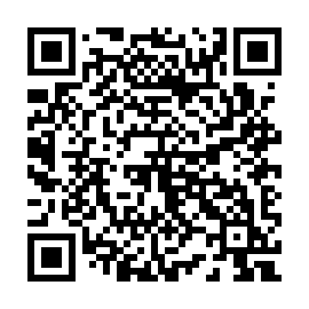 QR code for P20AYK