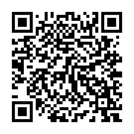 QR code for P20WMO