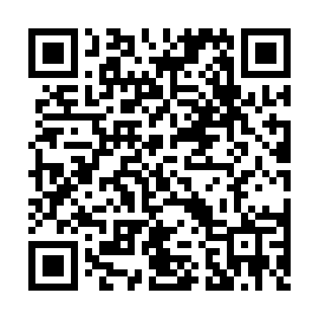 QR code for P211AP