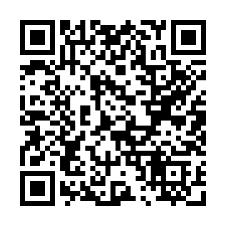 QR code for P2138C