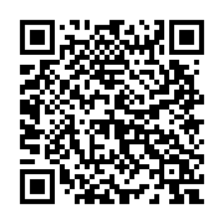QR code for P2170V