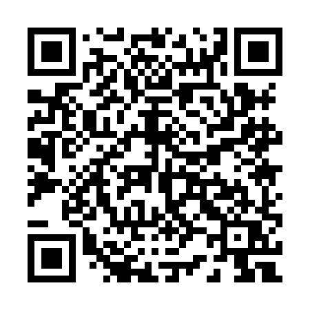 QR code for P218HQ