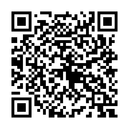 QR code for P219QC