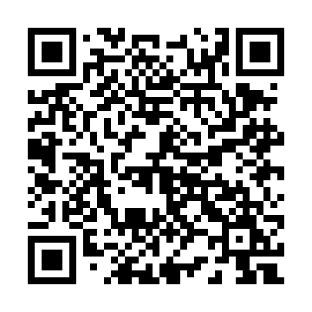 QR code for P21DFM