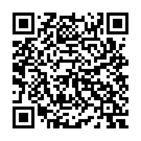 QR code for P221UG