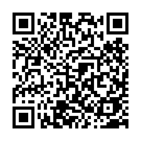 QR code for P224AE