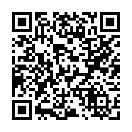 QR code for P228FT