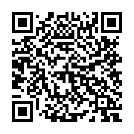 QR code for P228PA