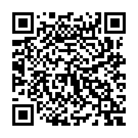 QR code for P22ICE