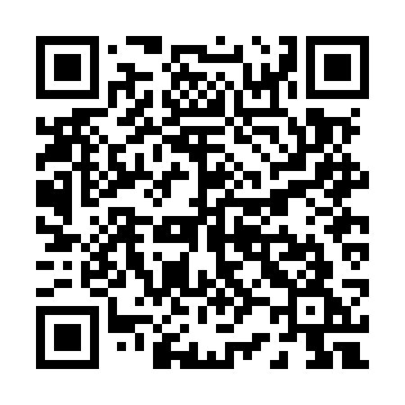 QR code for P22MSG