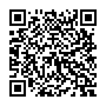 QR code for P2316D