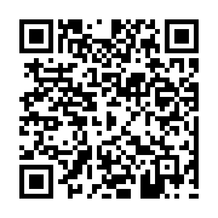 QR code for P231UE
