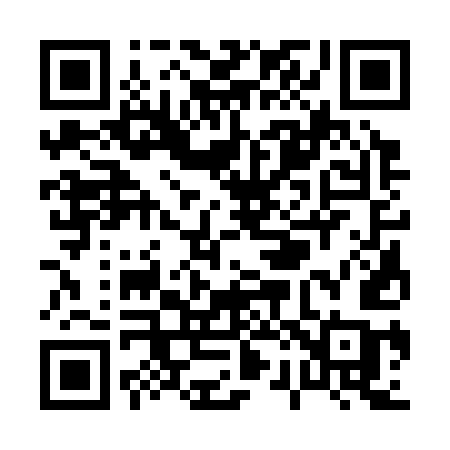 QR code for P2335C