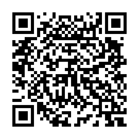 QR code for P2345I
