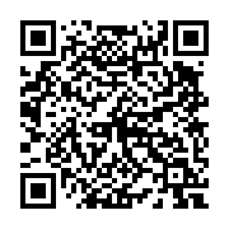 QR code for P2349L