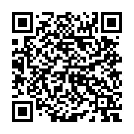 QR code for P234ZR