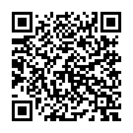 QR code for P238NT