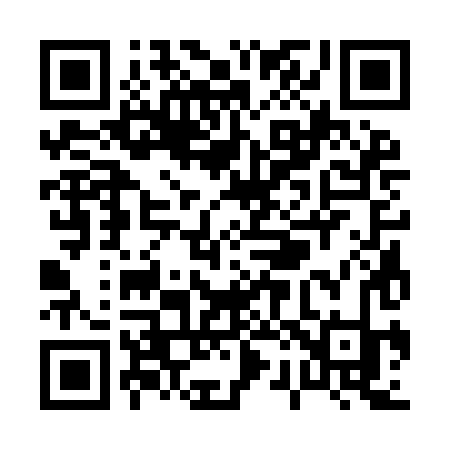 QR code for P239HK