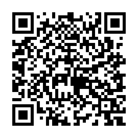 QR code for P241OS