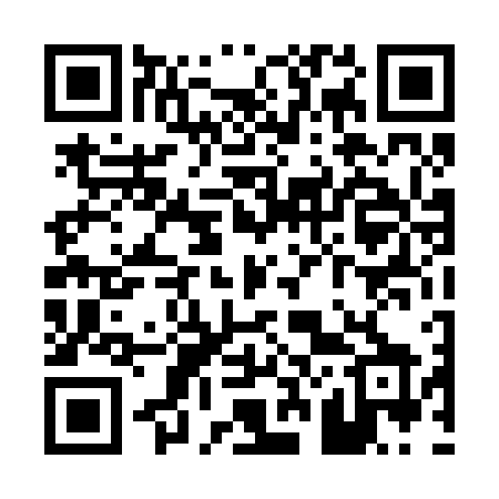 QR code for P2426X