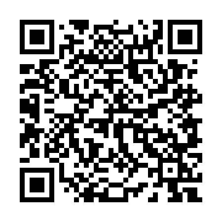 QR code for P245NK