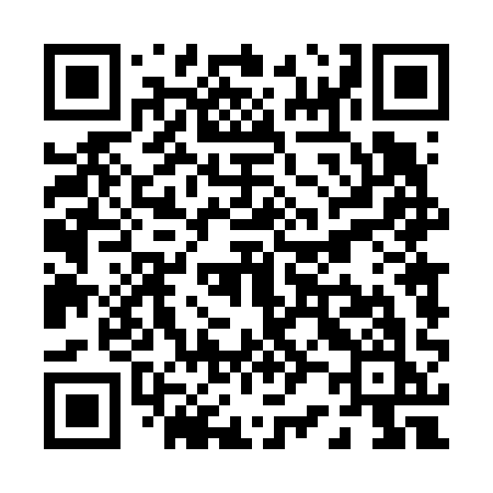 QR code for P2461K