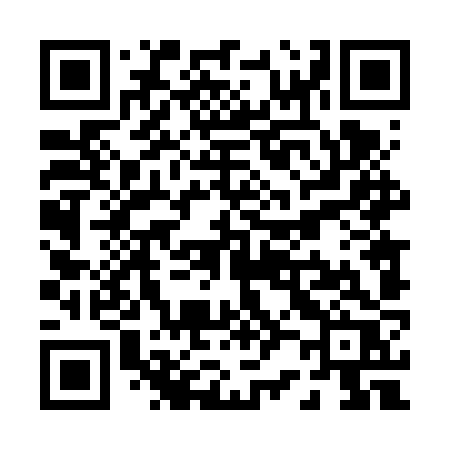 QR code for P246ZR
