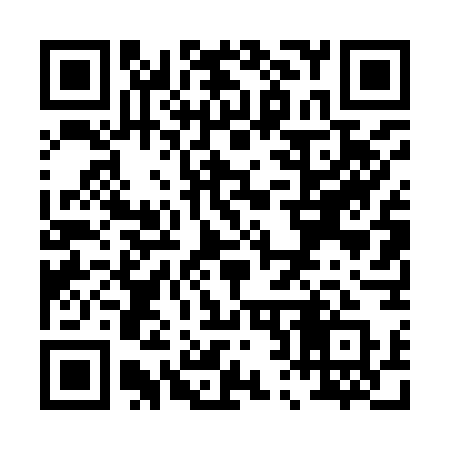 QR code for P2497Q