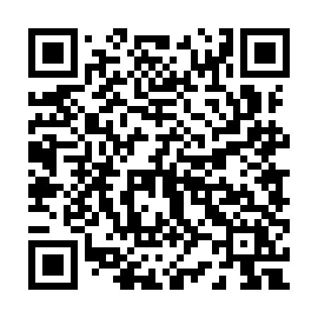 QR code for P249DX