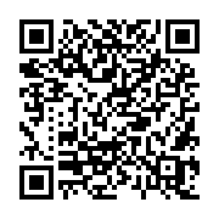 QR code for P249OB