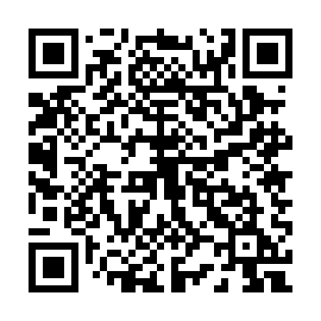 QR code for P250AE