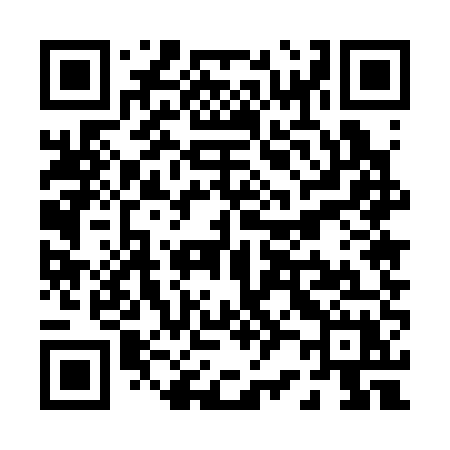QR code for P2535X