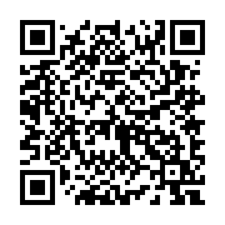 QR code for P255IU