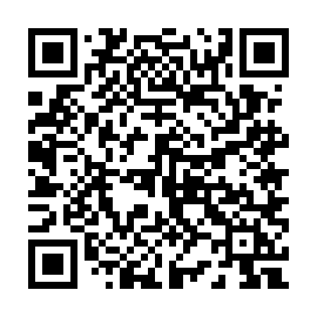 QR code for P255LH