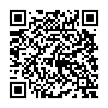 QR code for P2602I