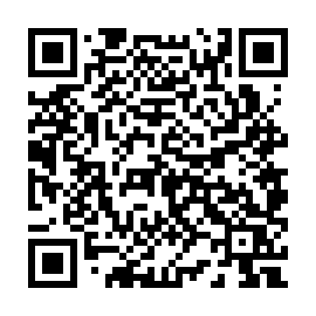 QR code for P263XS