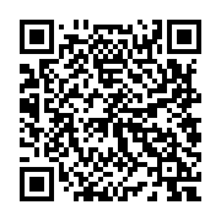 QR code for P2690E