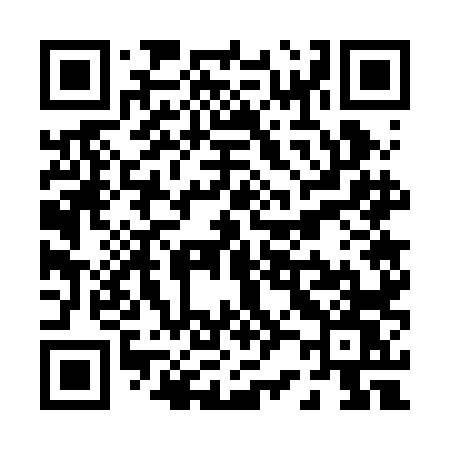 QR code for P272LW