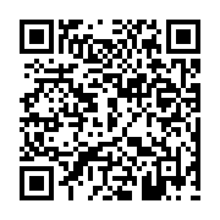 QR code for P2738N