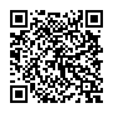 QR code for P2804P