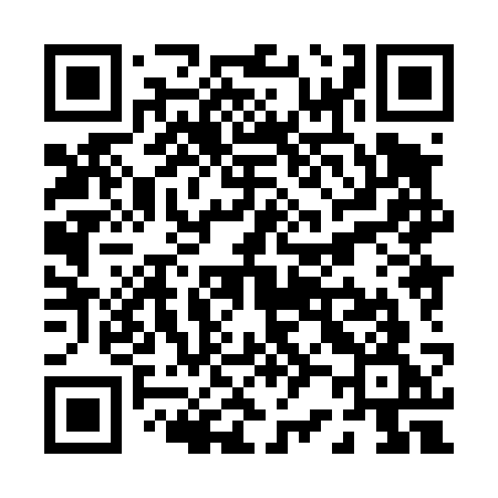 QR code for P2843G
