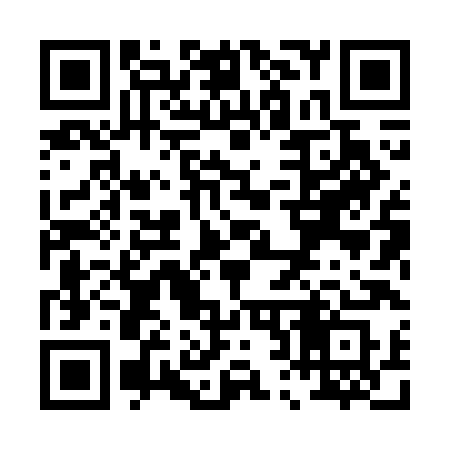 QR code for P287HS