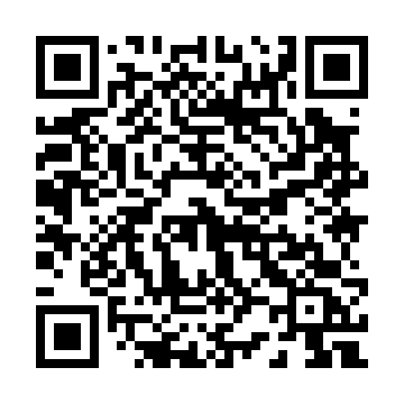 QR code for P2906C