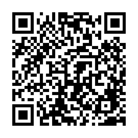 QR code for P290NF