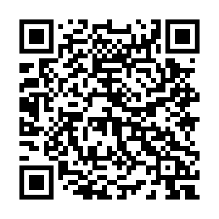 QR code for P290PC
