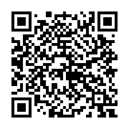 QR code for P290QH