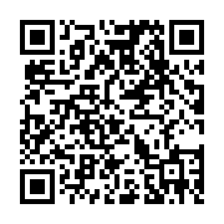 QR code for P290UA