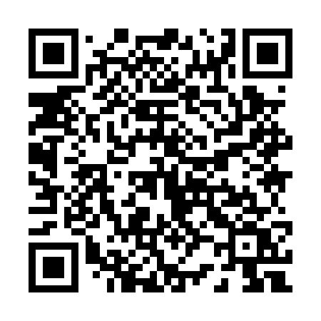 QR code for P290WV