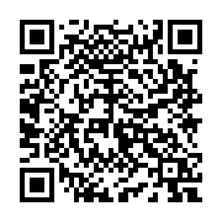 QR code for P2912Q